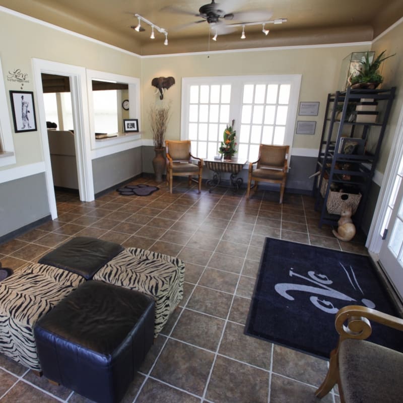 About Community Veterinary Clinic Turlock Veterinarian