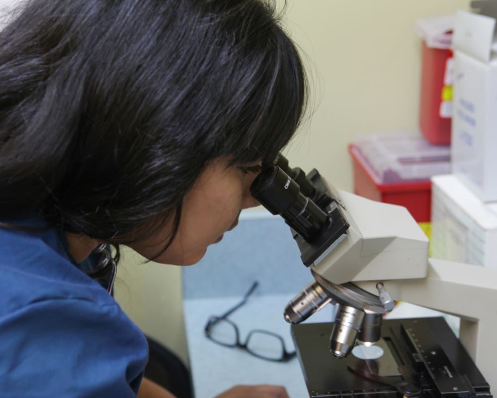 Veterinary Lab, Turlock Vet