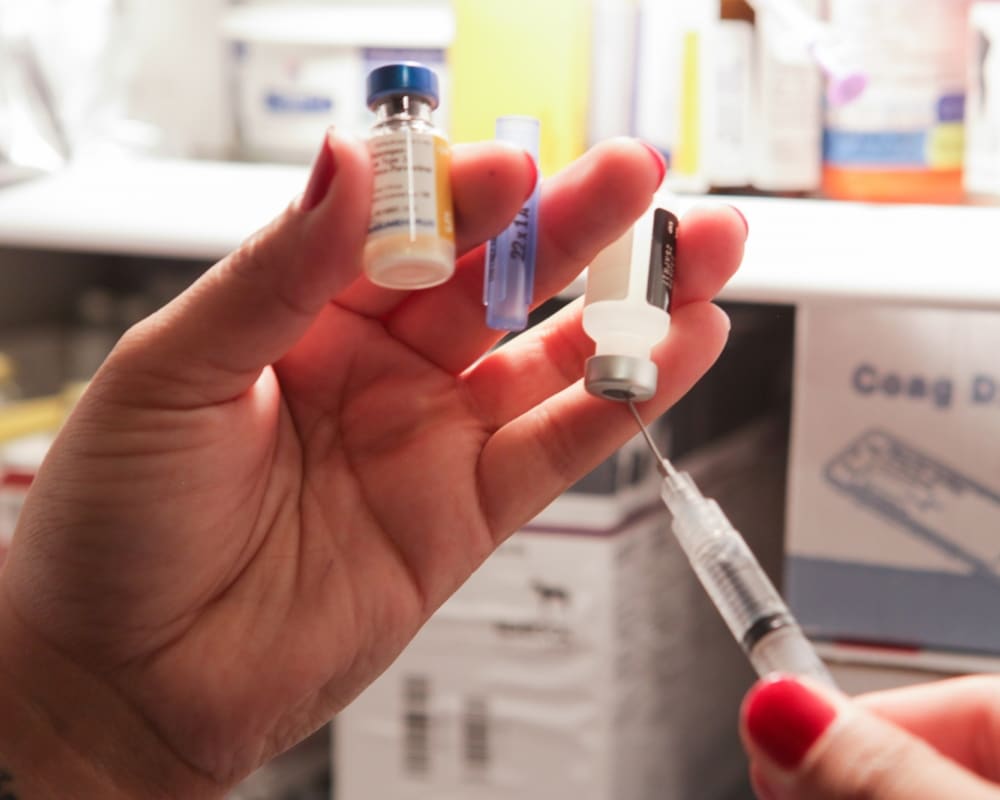 Pet Vaccinations & Parasite Prevention Services in Turlock