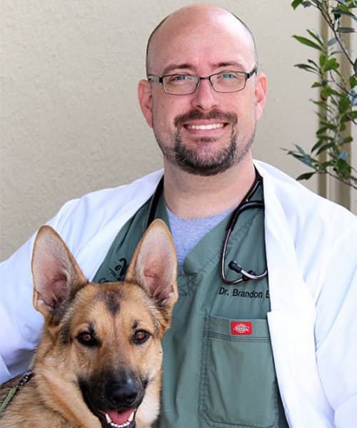 Dr. Brandon Barrett, Turlock Veterinarian